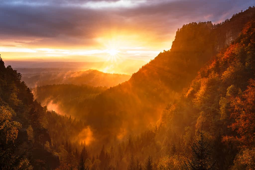 , Seek first the Kingdom of God.